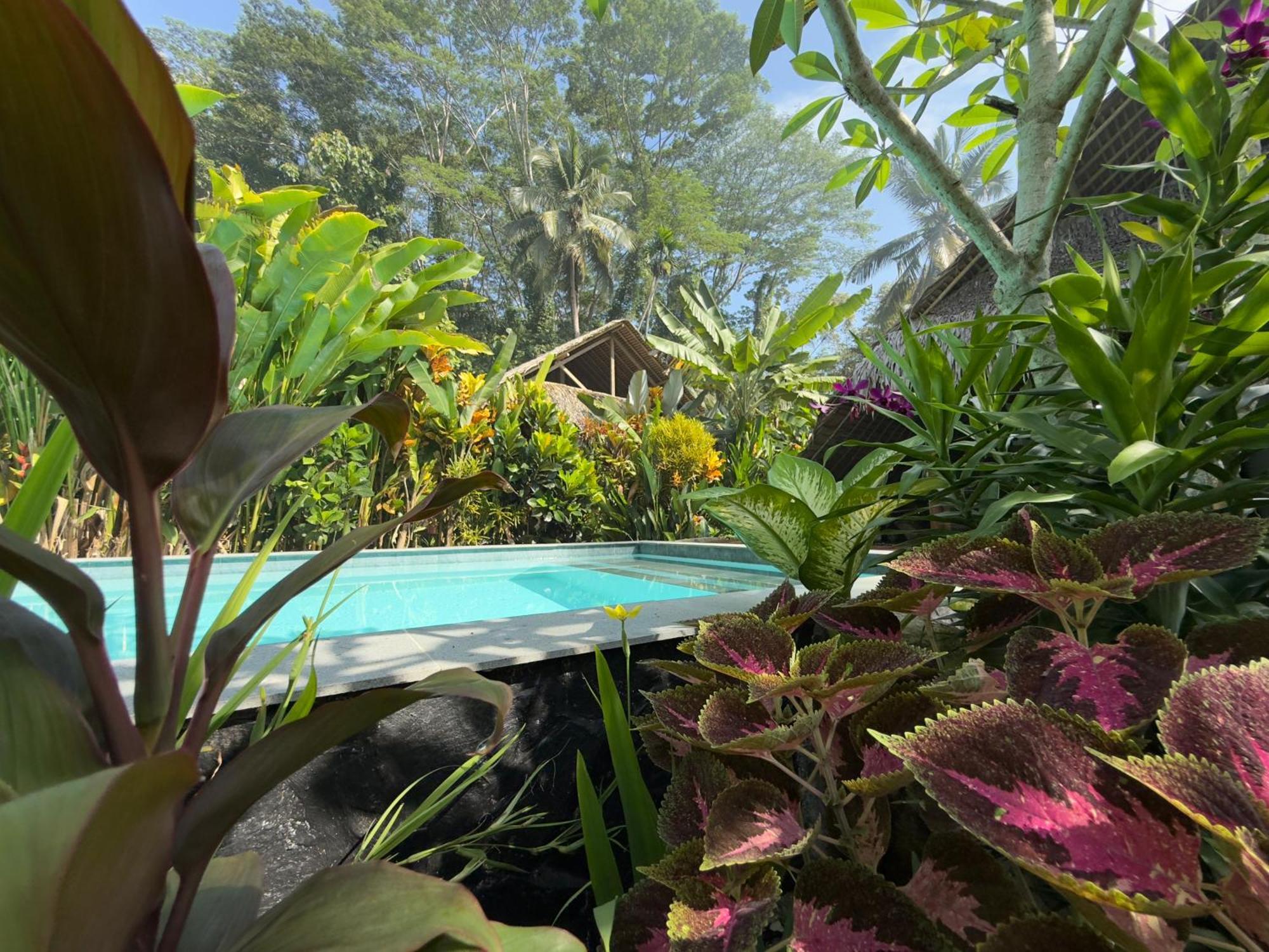 Rnv Eco Resort Bungalows Batukaras Bagian luar foto