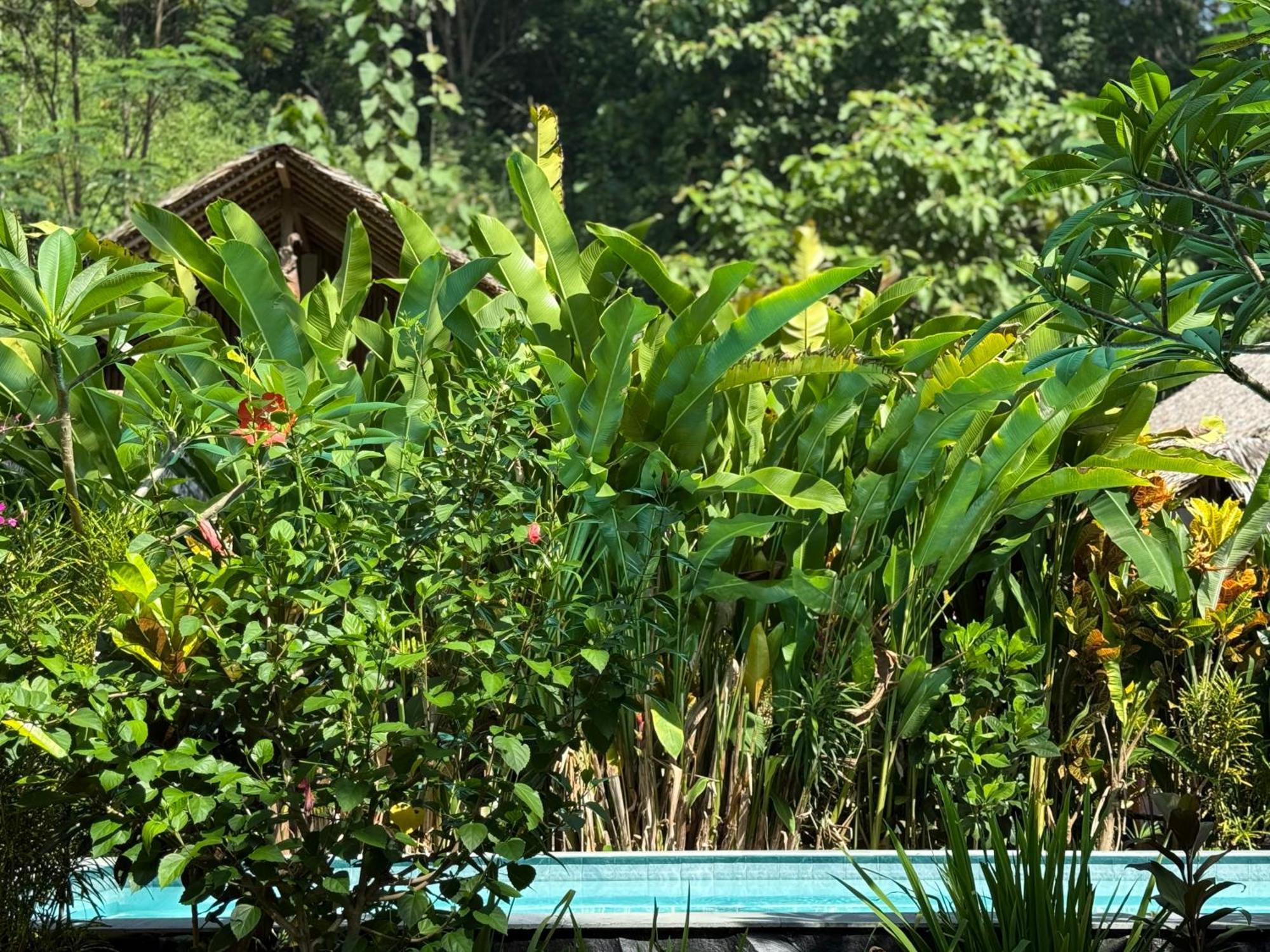 Rnv Eco Resort Bungalows Batukaras Bagian luar foto