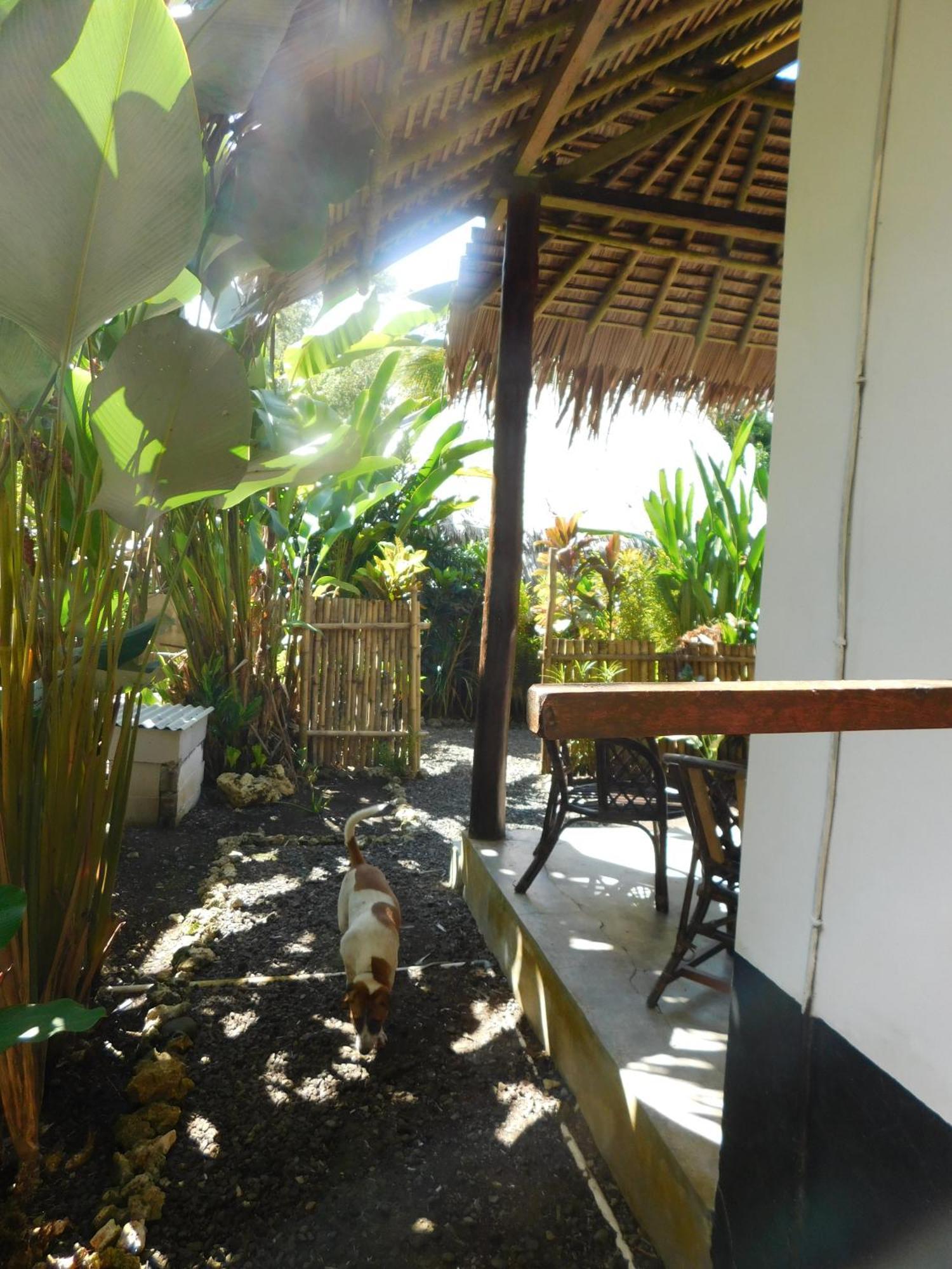 Rnv Eco Resort Bungalows Batukaras Bagian luar foto